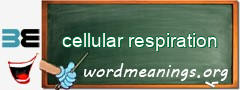 WordMeaning blackboard for cellular respiration